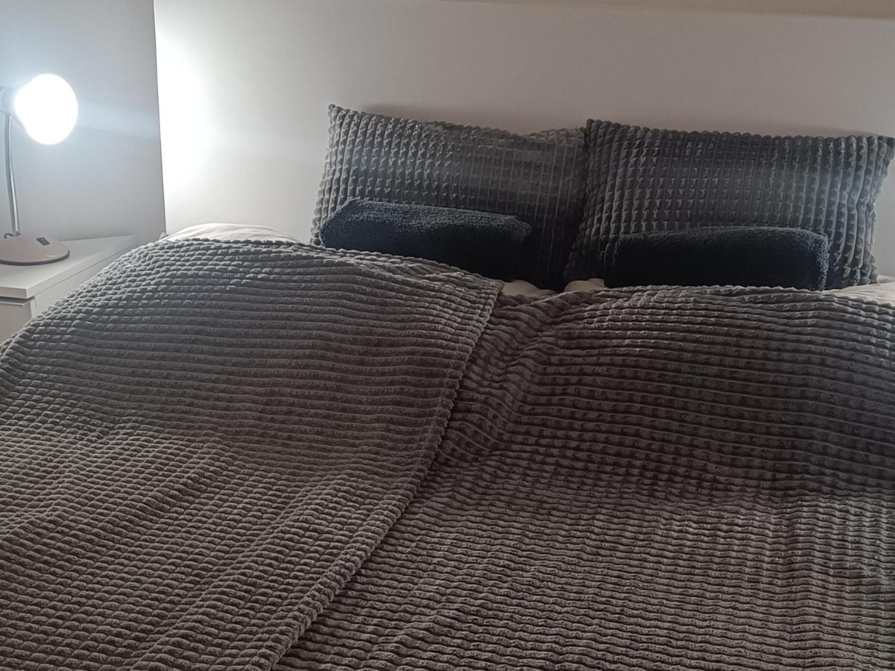 Apartment Alexander I Novi Sad